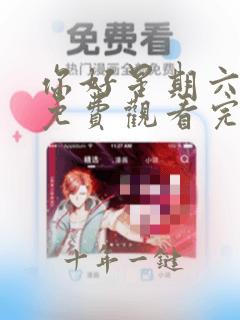 你好星期六成毅免费观看完整版高清
