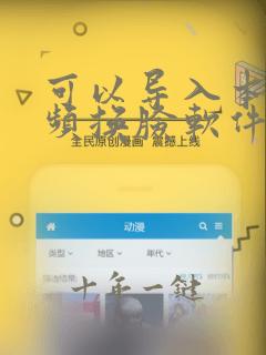 可以导入本地视频换脸软件