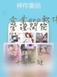 企业erp软件管理开发