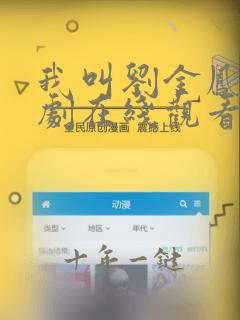 我叫刘金凤电视剧在线观看全集免费