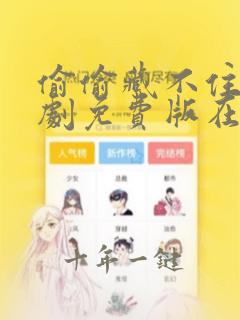 偷偷藏不住电视剧免费版在线观看12集