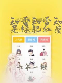 知否知否知否应是绿肥红瘦 电视剧