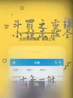 斗罗之灵珠神剑小说正版全文下载