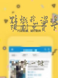 点燃我温暖你电视剧免费下载