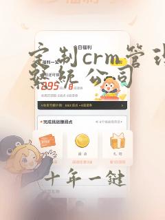 定制crm管理系统公司