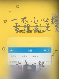 一不小心捡到爱 电视剧免费观看全集