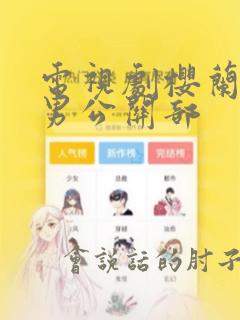 电视剧樱兰高校男公关部