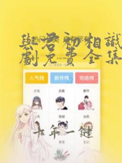 与君初相识电视剧免费全集在线观看