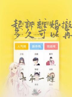 起诉离婚撤诉后多久可以再次起诉