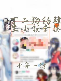 丁二狗的肆意人生小说全集免费阅读