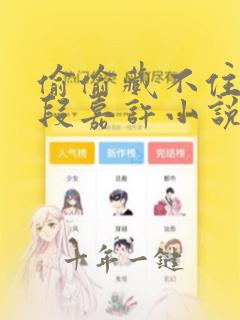 偷偷藏不住桑稚段嘉许小说免费阅读的