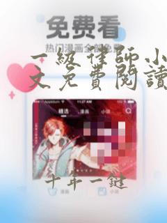 一级律师小说全文免费阅读无弹窗