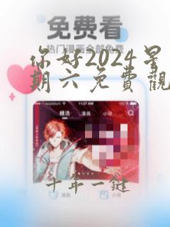你好2024星期六免费观看完整版高清