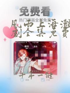 风雨上海滩电视剧全集免费观看第1集