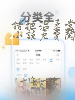 错把温柔当情深小说免费阅读全文