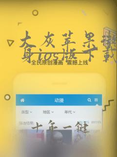 大灰苹果微信分身ios版下载