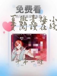 夏与青梅小说免费阅读在线无弹窗