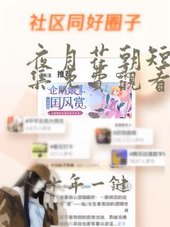 夜月花朝短剧全集免费观看电视剧