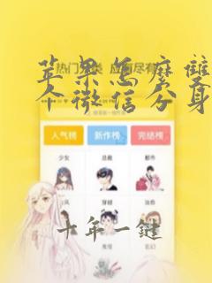 苹果怎么双开两个微信分身软件