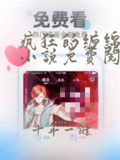 疯狂的缠绵都市小说免费阅读全文