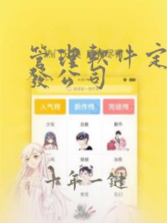 管理软件定制开发公司