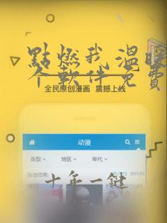 点燃我温暖你哪个软件免费观看