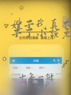 嫂子我真不是傻子了小说免费阅读全文无窗口