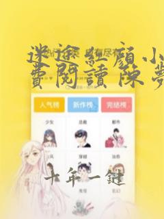 迷途红颜小说免费阅读 陈梦洁 黄杰全文