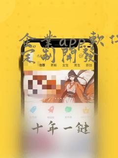 企业app软件定制开发