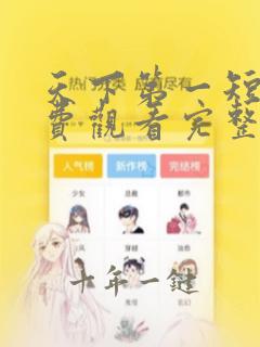 天下第一短剧免费观看完整版电视剧高清