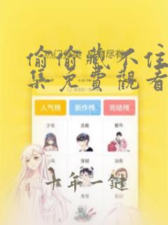 偷偷藏不住24集免费观看完整版电视剧