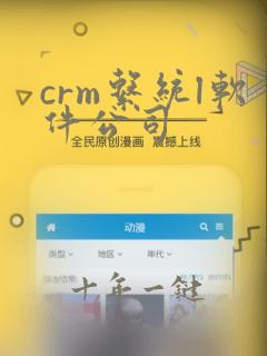 crm系统l软件公司