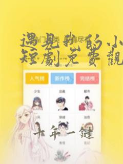 遇见我的小欢喜短剧免费观看大结局视频