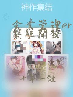 企业管理erp系统开发