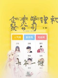 企业管理软件开发公司