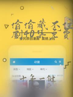 偷偷藏不住电视剧40集免费观看高清