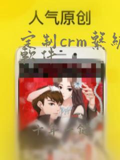定制crm系统软件