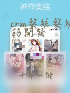 crm系统系统的开发