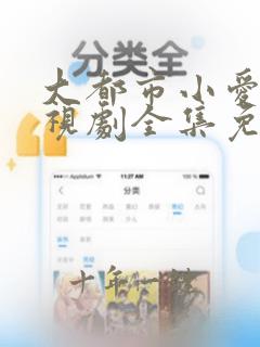 大都市小爱情电视剧全集免费观看策驰影院