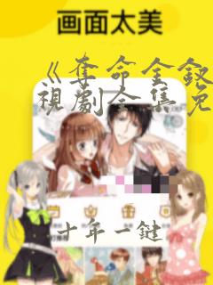 《夺命金钗》电视剧全集免费观看