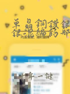 单晶铜镀银和铜银混编的哪个好点