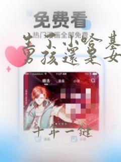生了小哈基米是男孩还是女孩