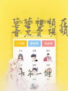 草莓视频在线观看免费视频国产操