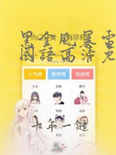黑金风暴电视剧国语高清免费观看