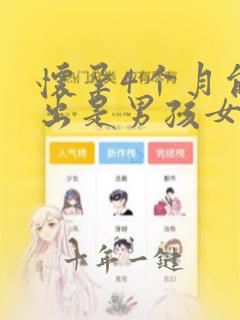 怀孕4个月能查出是男孩女孩吗