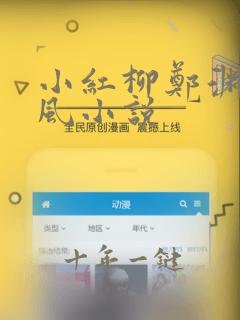 小红柳郑渊裴清风小说