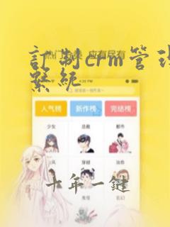 订制crm管理系统