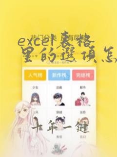 excel表格里的选项怎么弄