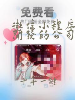 微信小程序定制开发的公司