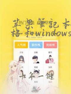 苹果笔记本做表格和windows兼容吗